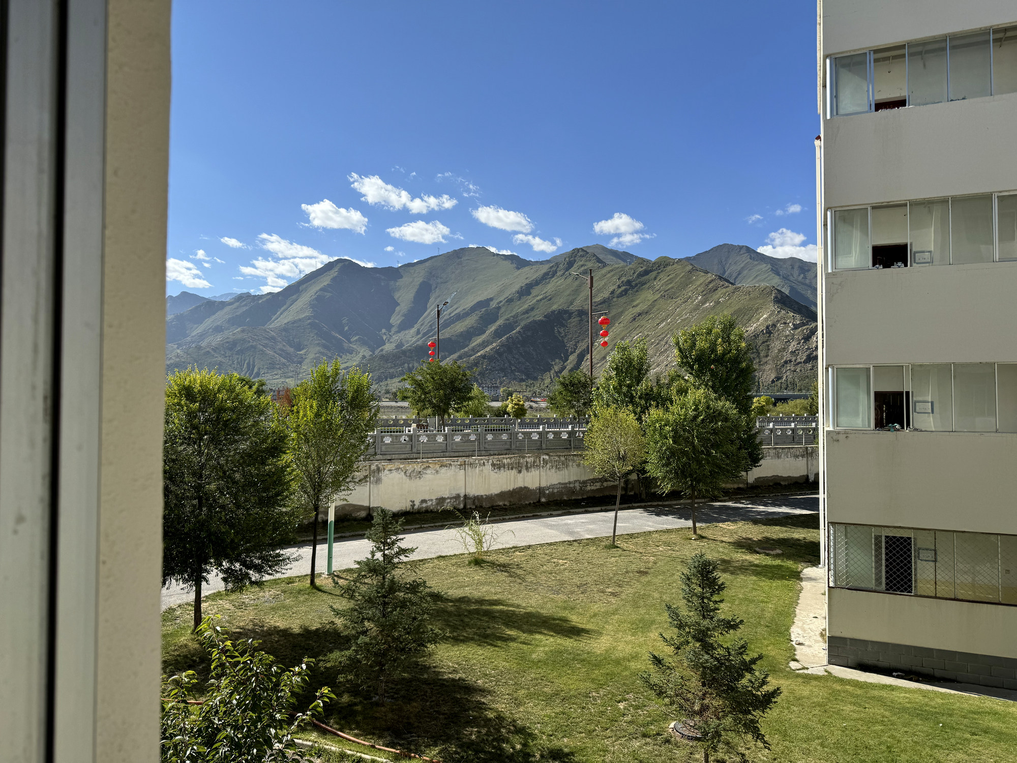 Trees, campus buildings, and nearby mountains seen through a window