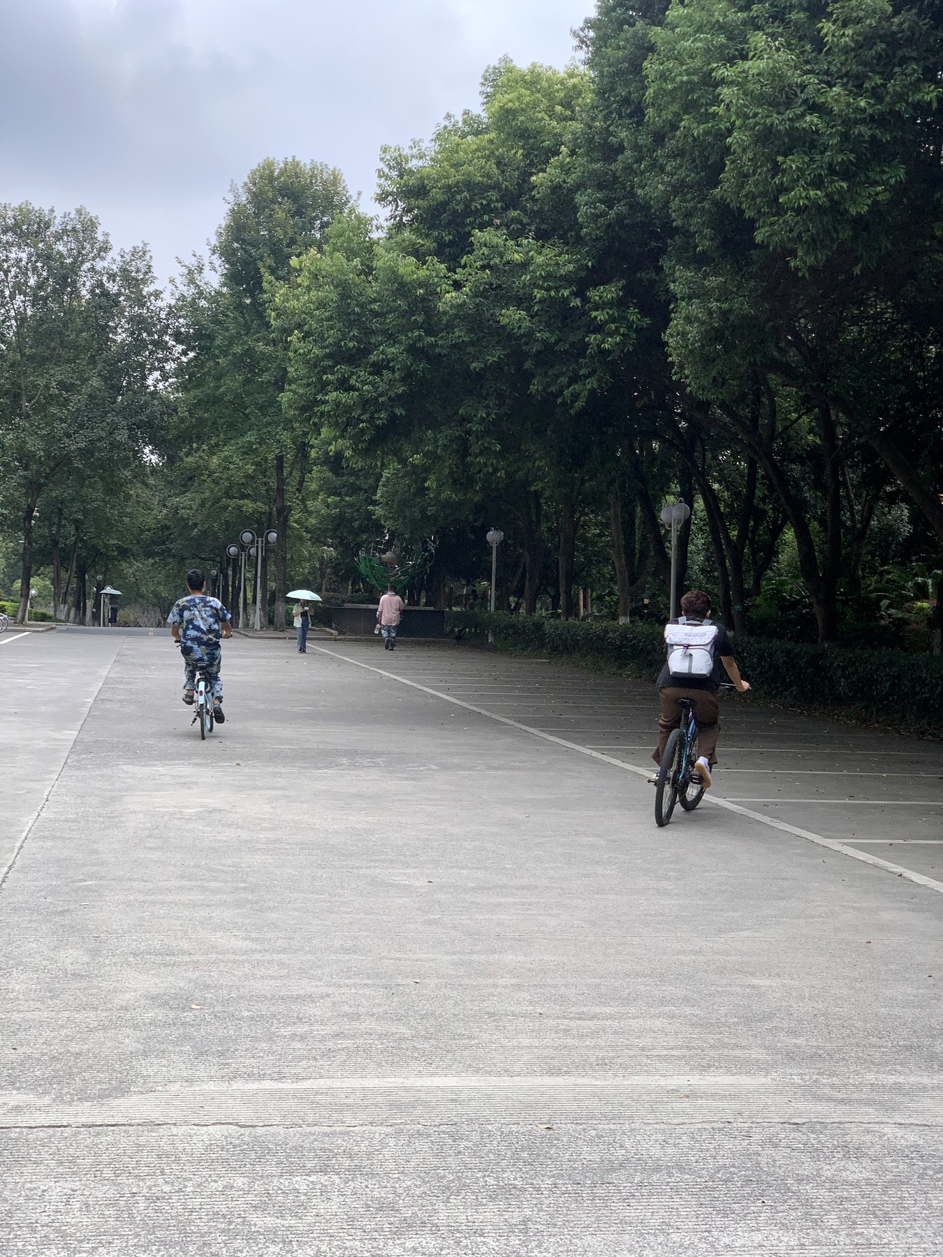 雁山校区树荫道路上的骑行者与行人背影
