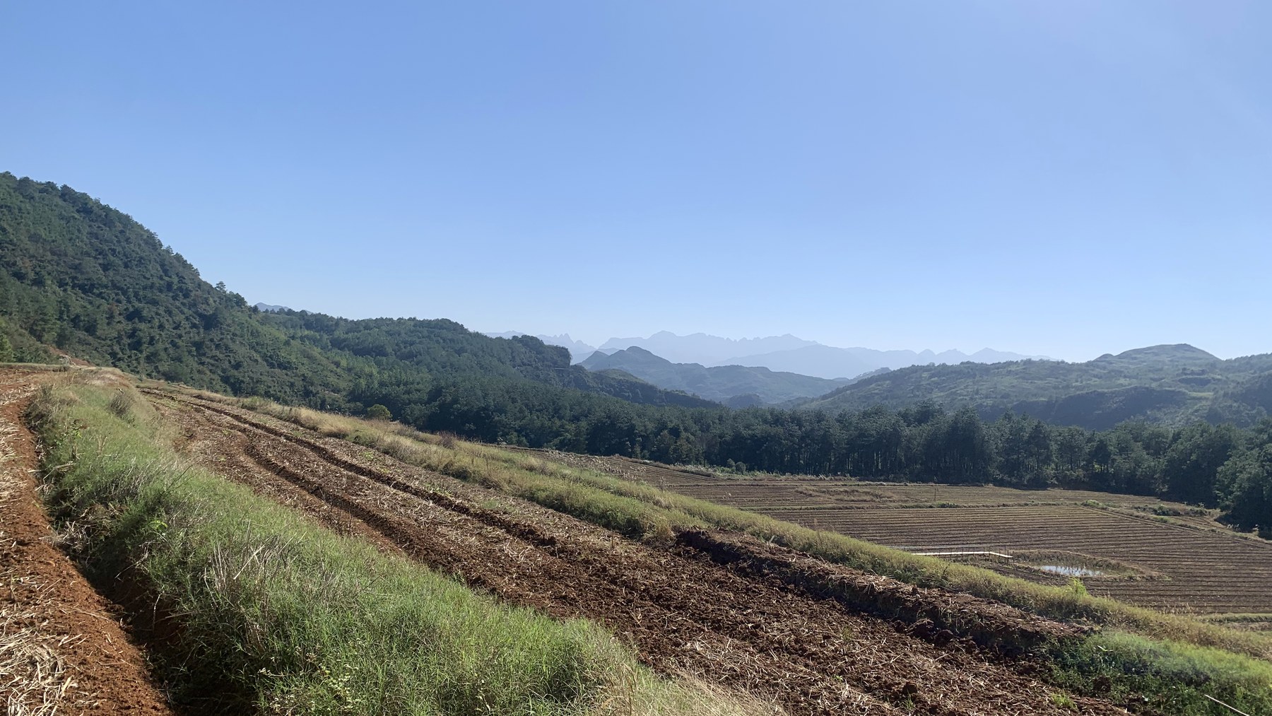 秋季农田、林地与远处连绵山体