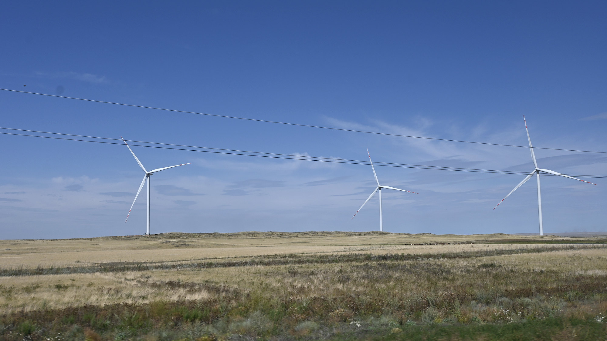 Wind turbines extending along the horizon of the flat steppe in the Akmola Region