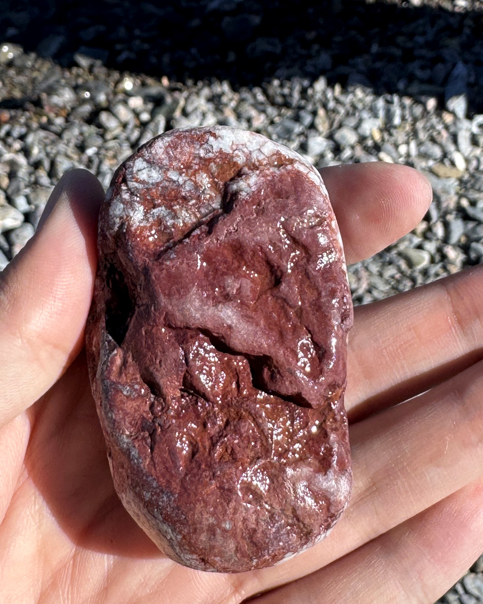 Pale markings across the surface of a reddish-brown rock held in one hand