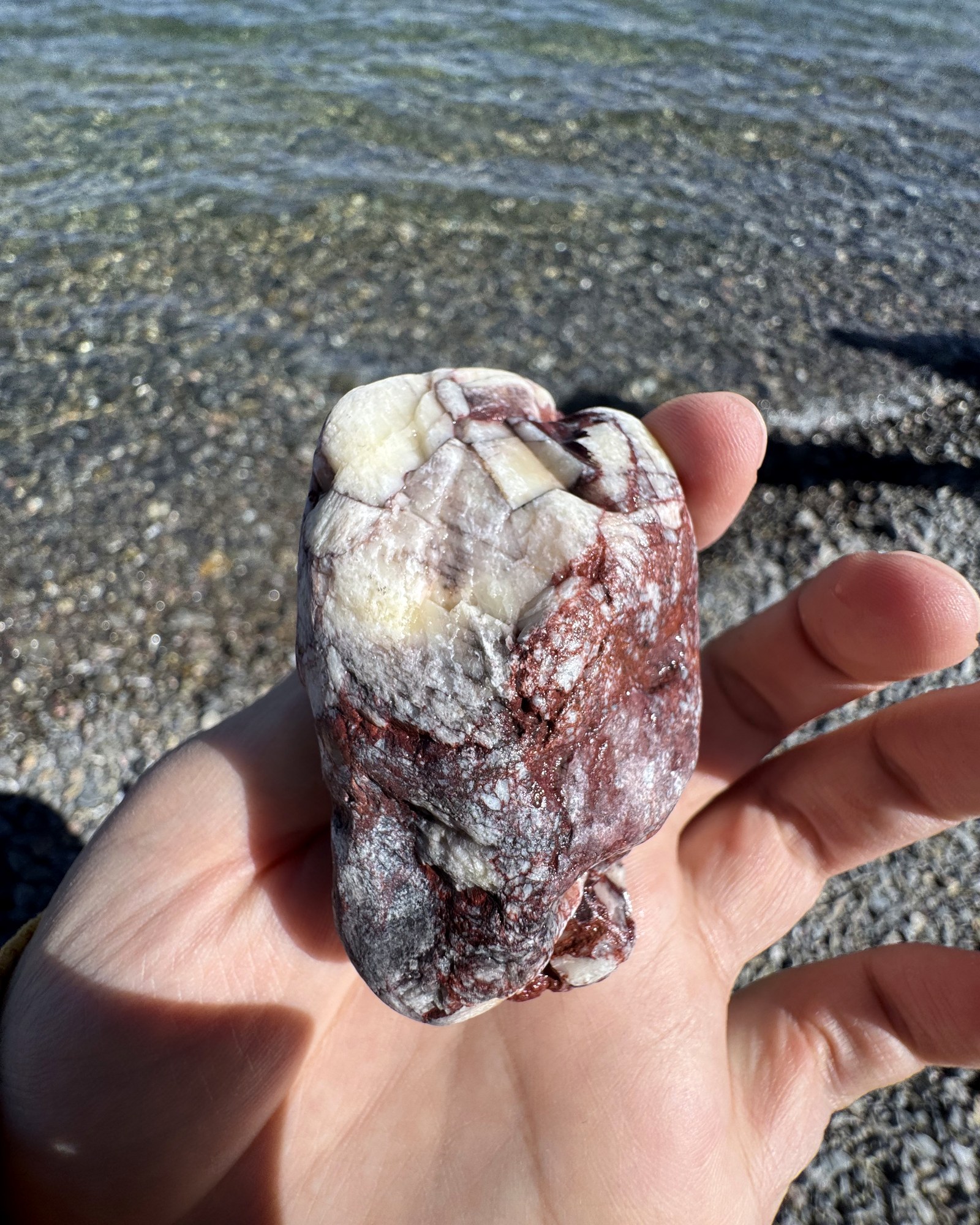 A reddish-brown rock held above shallow water and the gravel shore