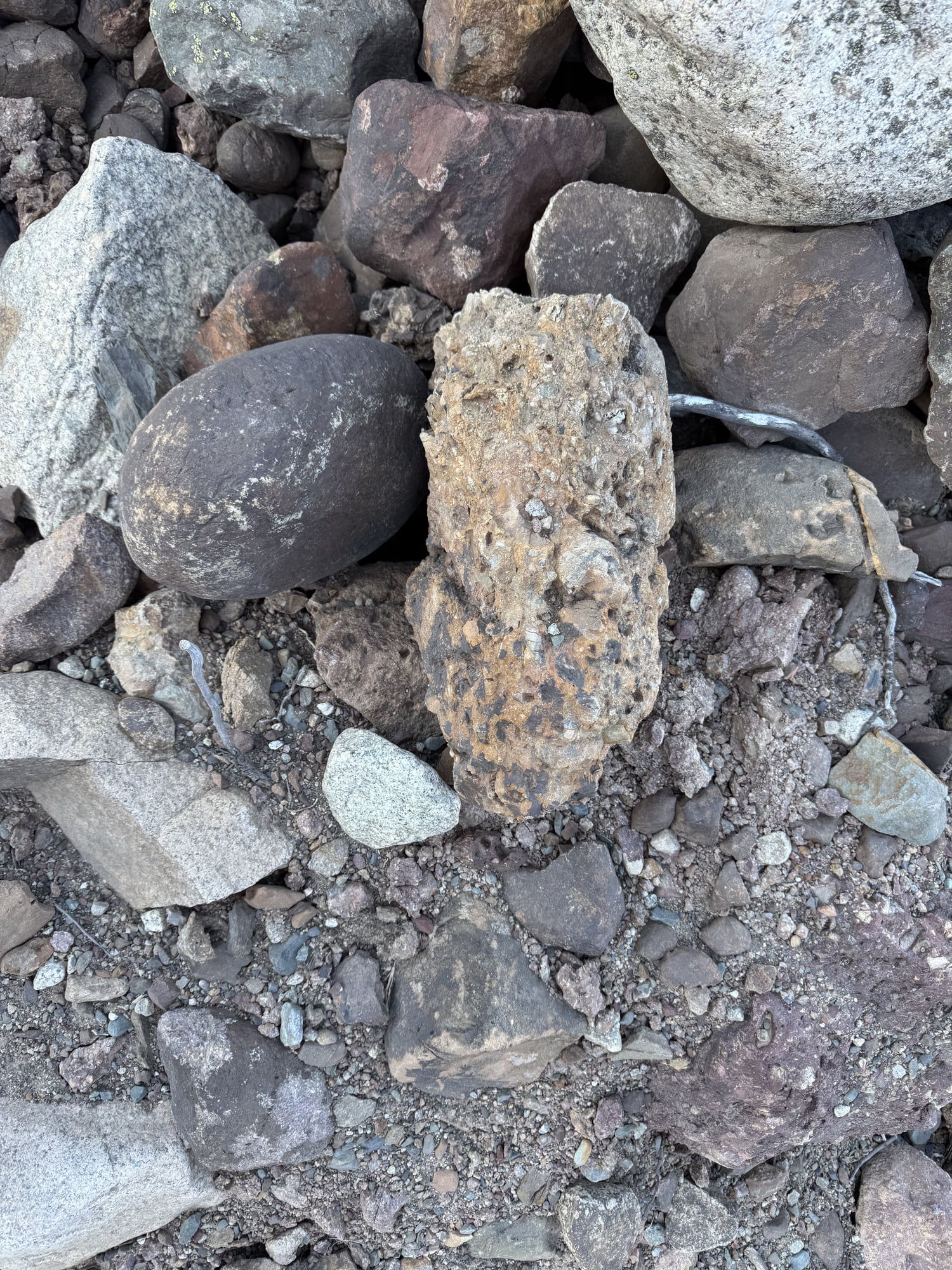 Gravel and fine-grained shoreline material in varied sizes and colors