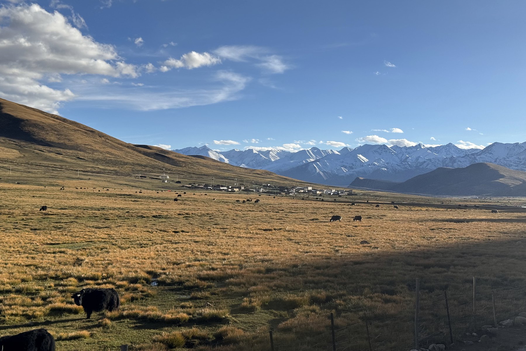 Highland pasture, mountain ridges and cloud in evening light